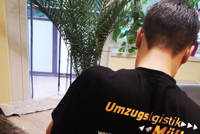 Laborumzug Remse stressfrei umziehen 